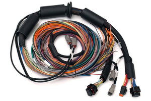 Haltech Nexus R3 universal wire-in harness 2.5m