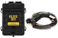 Haltech - Elite 2500 + Basic Universal Wire-in Harness Kit HT-151302