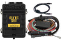 Haltech - Elite 2500 + Premium Universal Wire-in Harness Kit HT-151304 Length: 2.5m (8')
