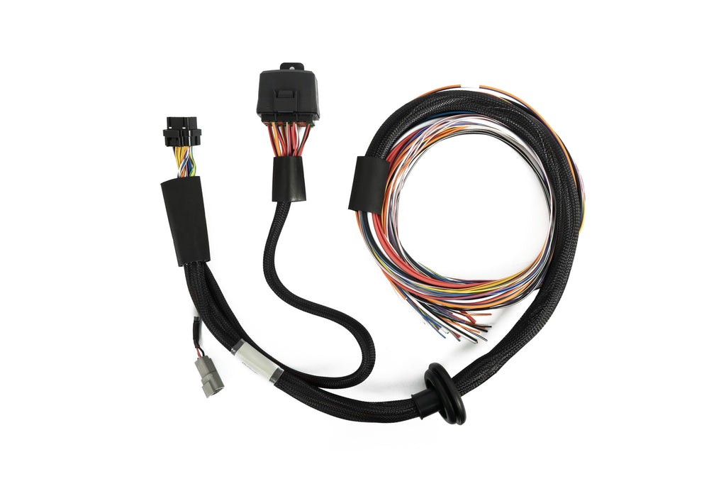 Haltech Nexus T2 / T1 Premium Universal Wire-in Harness HT-181201
