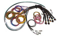 Haltech - NEXUS R5 Basic Universal Wire-In Harness 5 Metre Length HT-185201