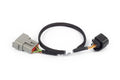 Haltech Nexus Rebel LS - 6-pin DBW adaptor