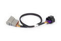 Haltech Nexus Rebel LS - 8-pin DBW adaptor
