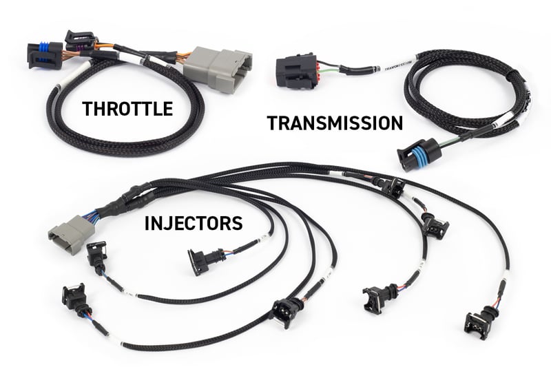 Haltech NEXUS Rebel LS & Terminated Harness- Suits Gen III