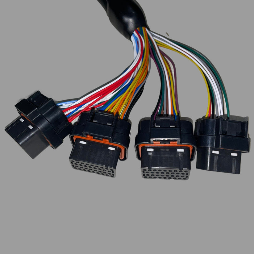 GM LS3 TO KV MOTORSPORTS TERMINATED HARNESS